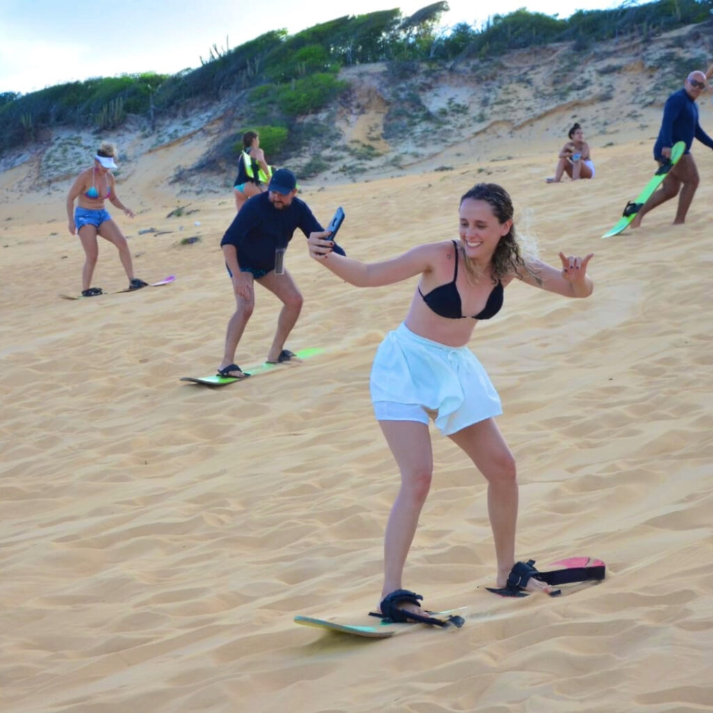 Sandboard