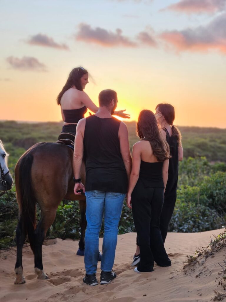 aac50e1f-a855-435b-8263-02f73d734f9e